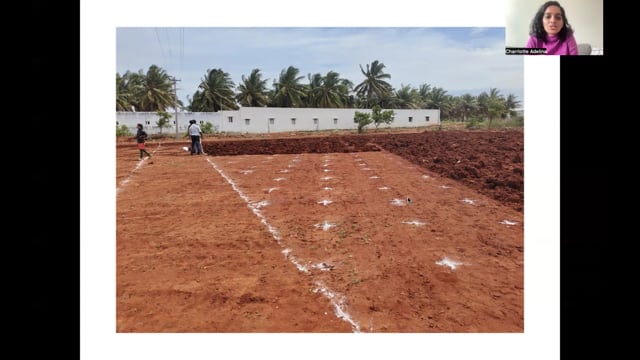 Los bosques de Miyawaki y el mantenimiento de las socionaturalezas