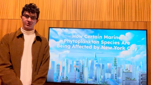 Cómo ciertas especies de fitoplancton marino están siendo afectadas por la ciudad de Nueva York