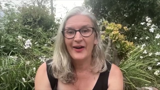 Presentamos 'Naturalezas urbanas que viven la ciudad más que humana'