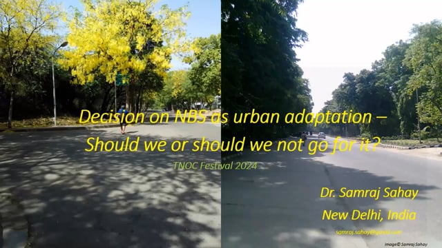 Decisión sobre las SbN como adaptación urbana: ¿debemos o no debemos optar por ellas?