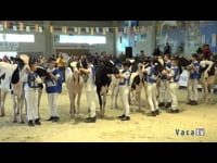 Entre 10 y 15 años inclusive