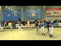 Mejor manejador del concurso