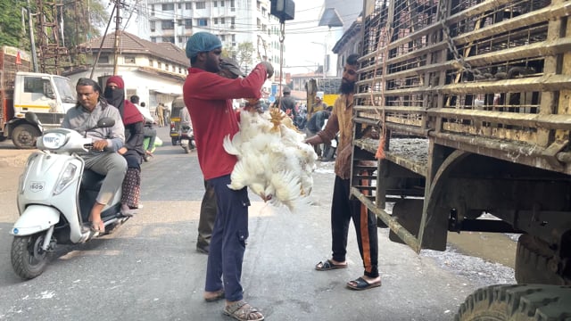 Workers weigh bunches of Indian broiler chickens outside Shivaji Market in Pune, India, 2024