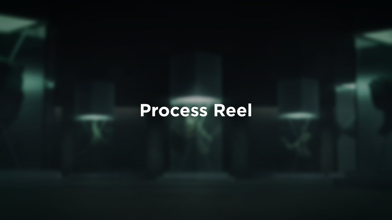 The Ark Process Reel