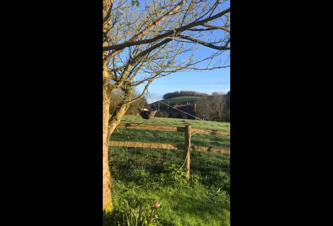 Video 1: