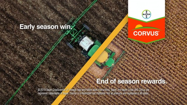 Bayer Corvus // Herbicide early for end of season rewards.