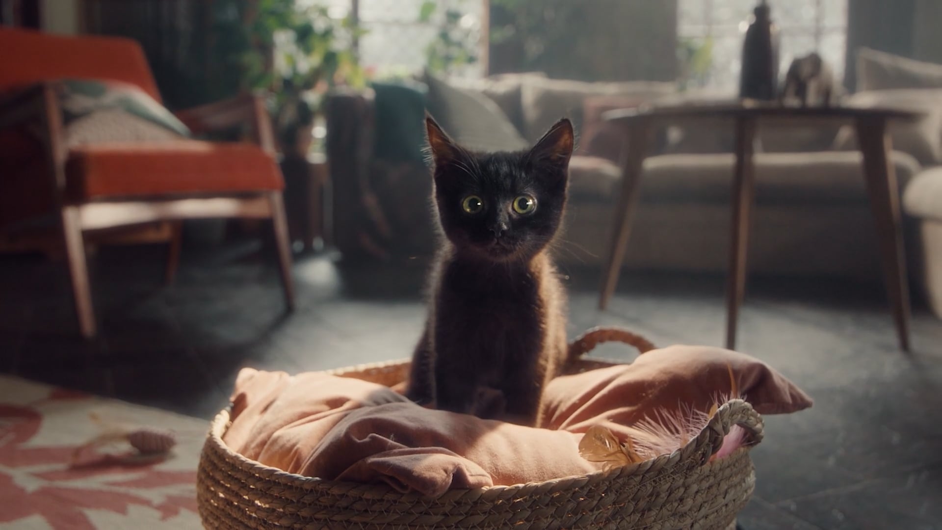 Vkusnoteevo. Blueberry. Yogurt