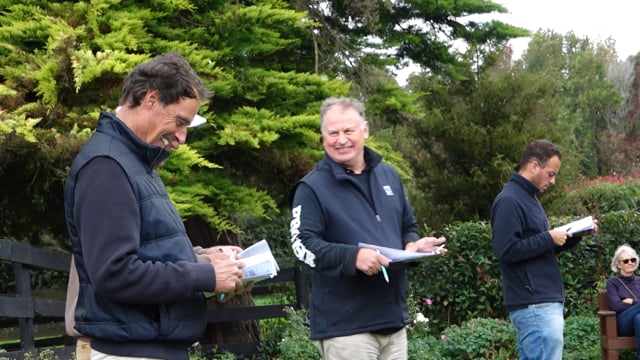 2024 National Online Yearling Sale | John Thompson-Rich Hill