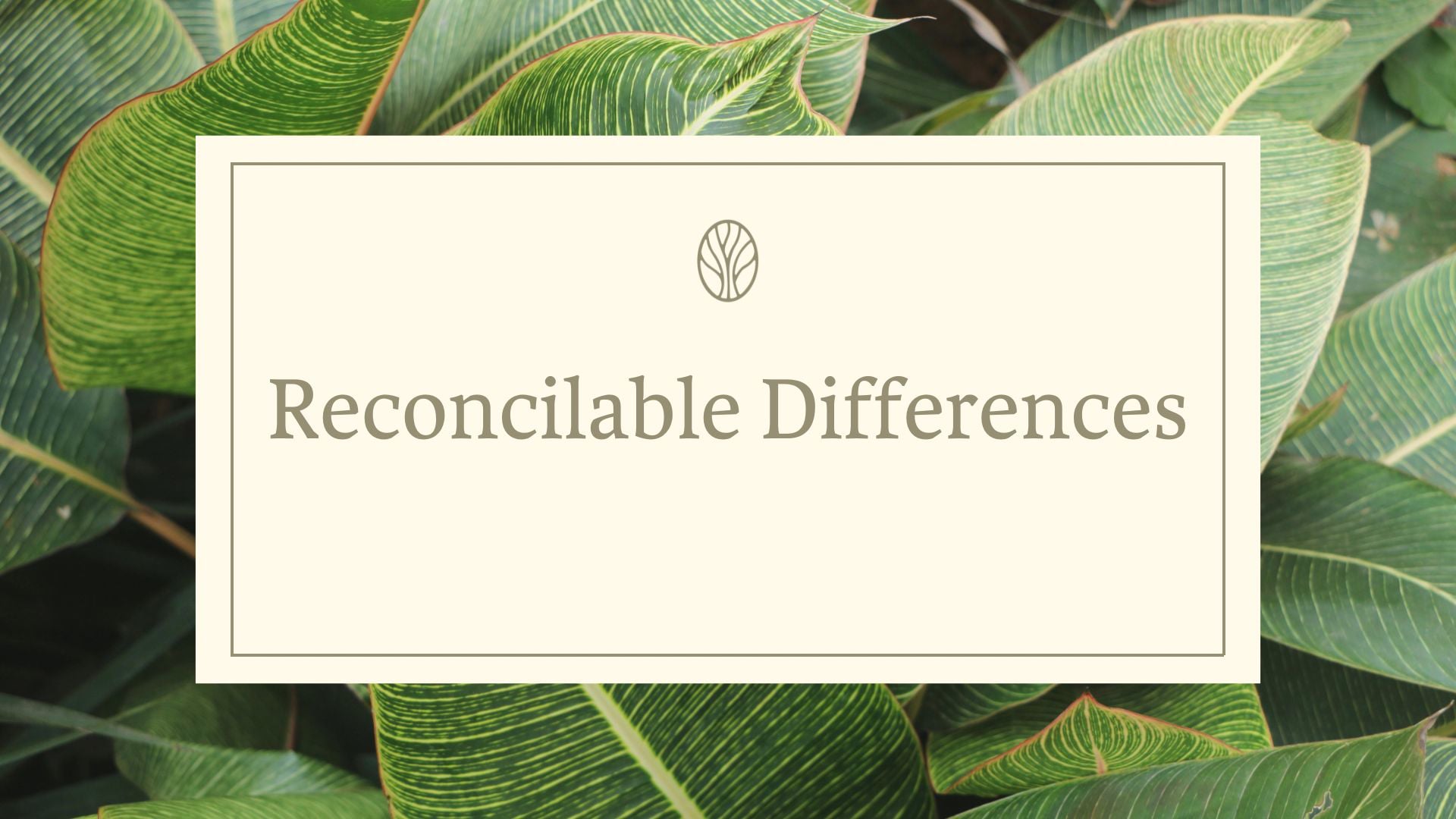 Reconcilable Differences | Trinity Fellowship Church