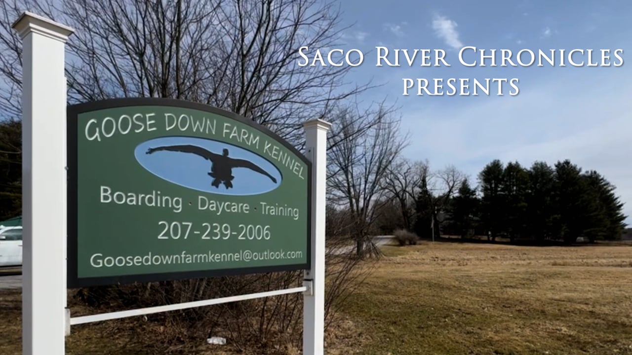 Saco River Chronicles: Eric Bartlett of Goose Down Kennel