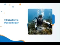 Module 01: Introduction to Marine Biology