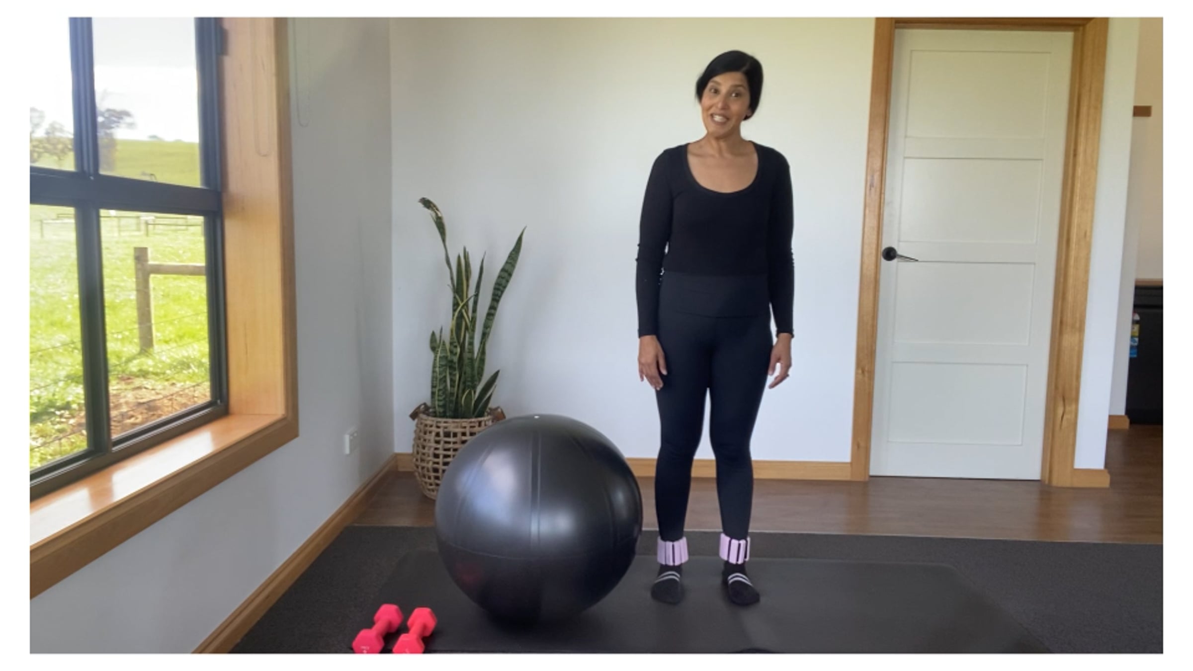 Vixer-2023-09-04-12-57-19-GMT+10