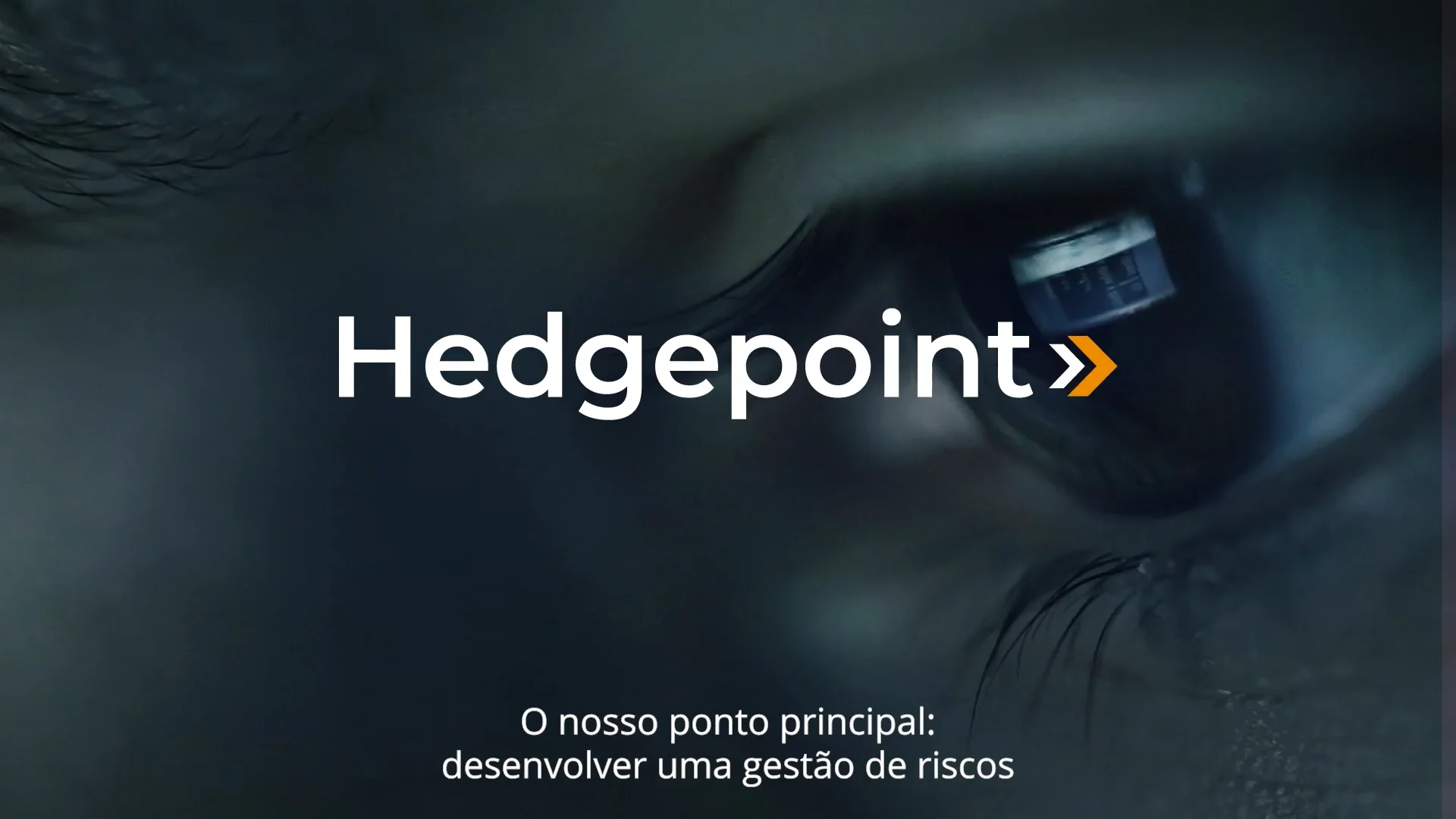Hedgepoint - Manifesto