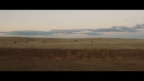 vignette de Director's Reel 2024