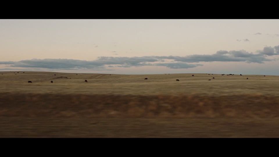 vignette de Director's Reel 2024