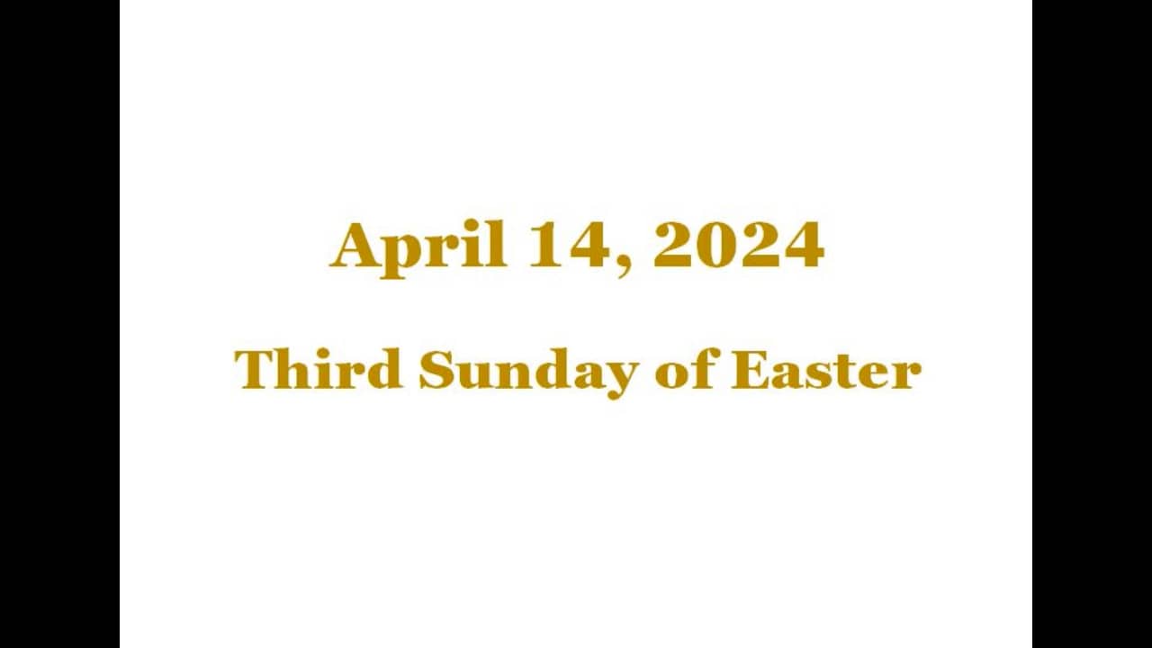 Homily - Sunday, April 14, 2024 On Vimeo