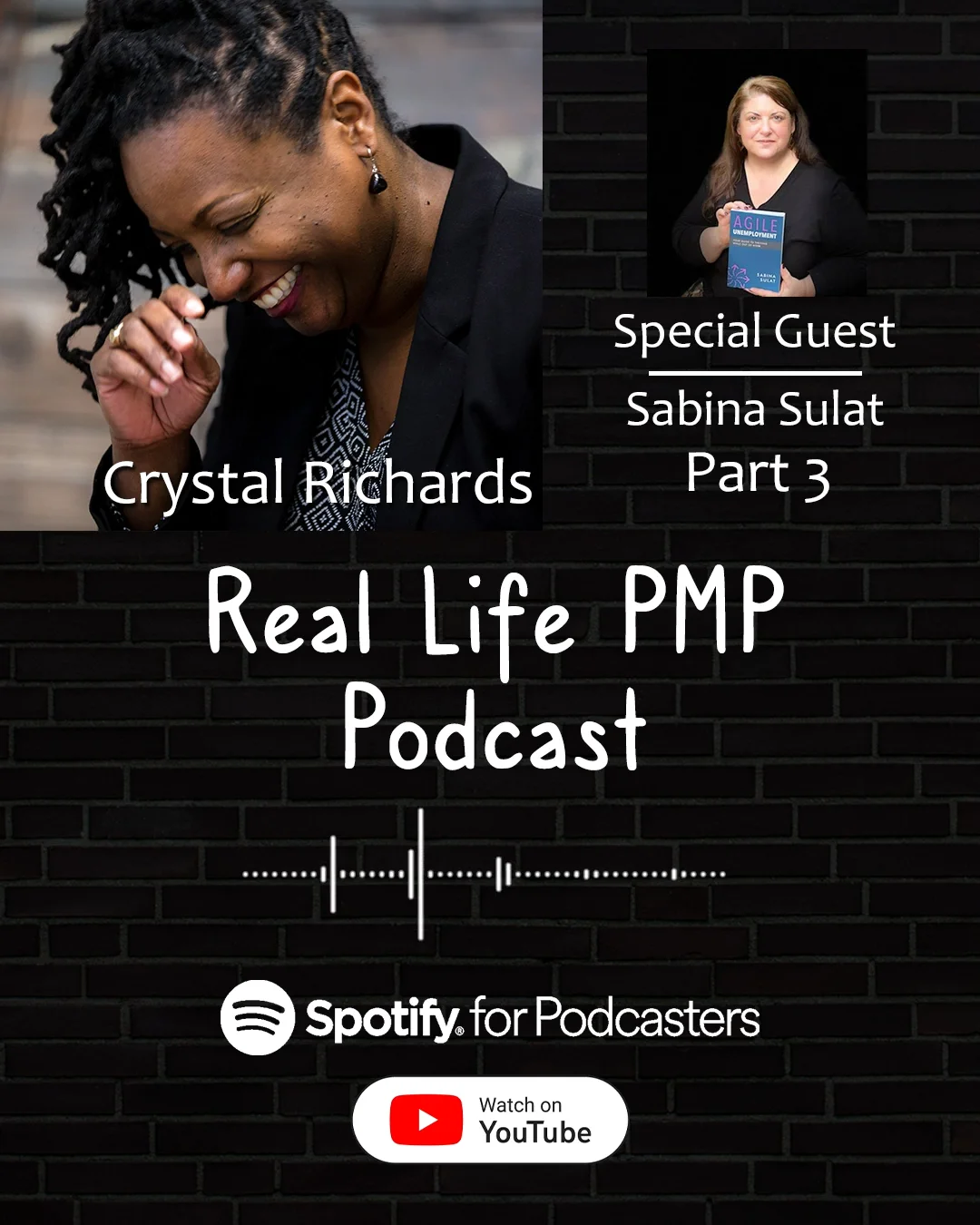 Real Life PMP Podcast Audiogram - Guest: Sabina Sulat - Part 3A on Vimeo