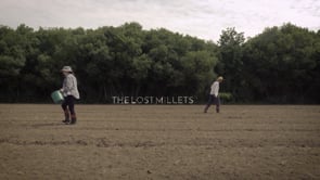 'The Lost Millets': a documentary