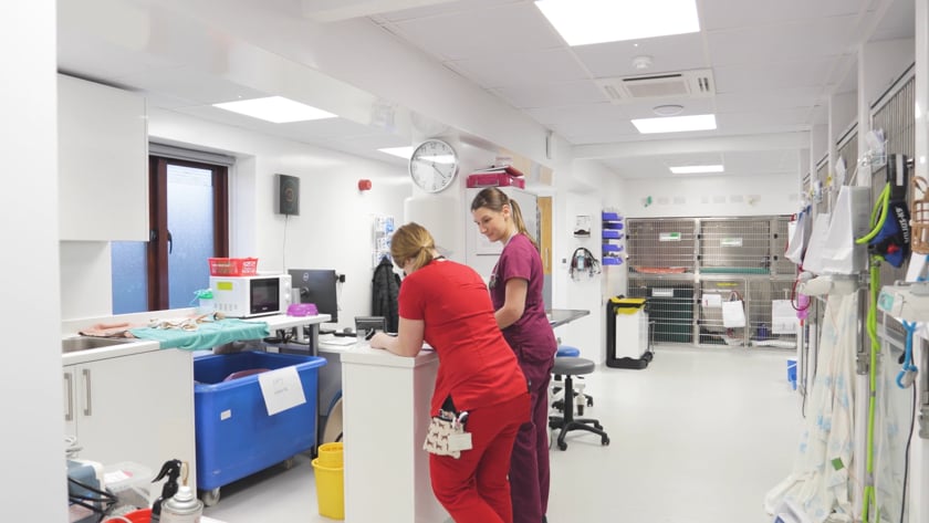 vimeo-video-thumbnail