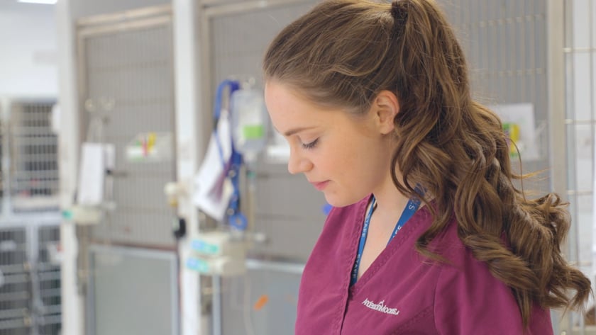 vimeo-video-thumbnail