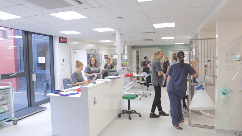 vimeo-video-thumbnail