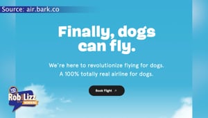 Dogs Get Their Own Flight