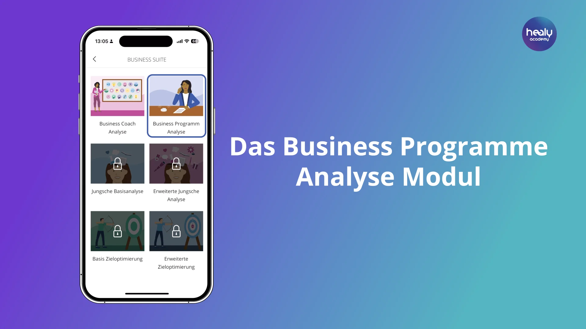 Das Business Programme Analyse Modul