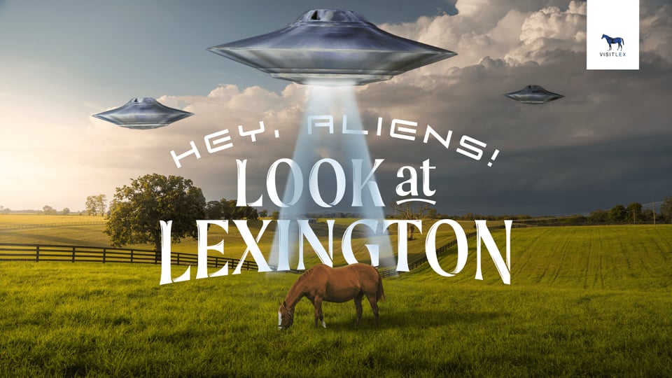 Hey, Aliens! Case Study