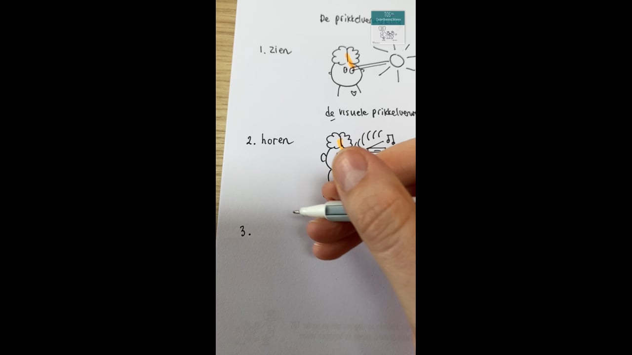 Prikkelverwerking soorten