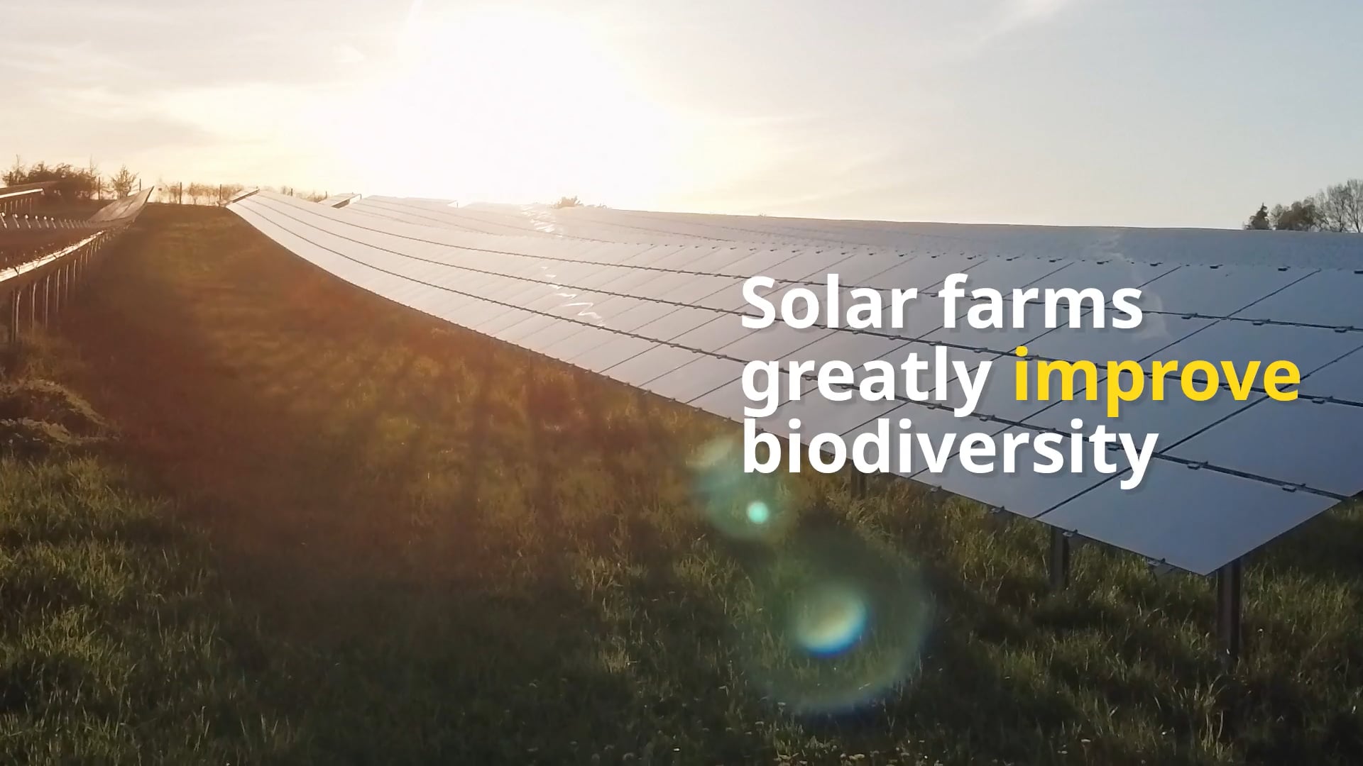 Why Solar - What about biodiversity and wildlife? Image