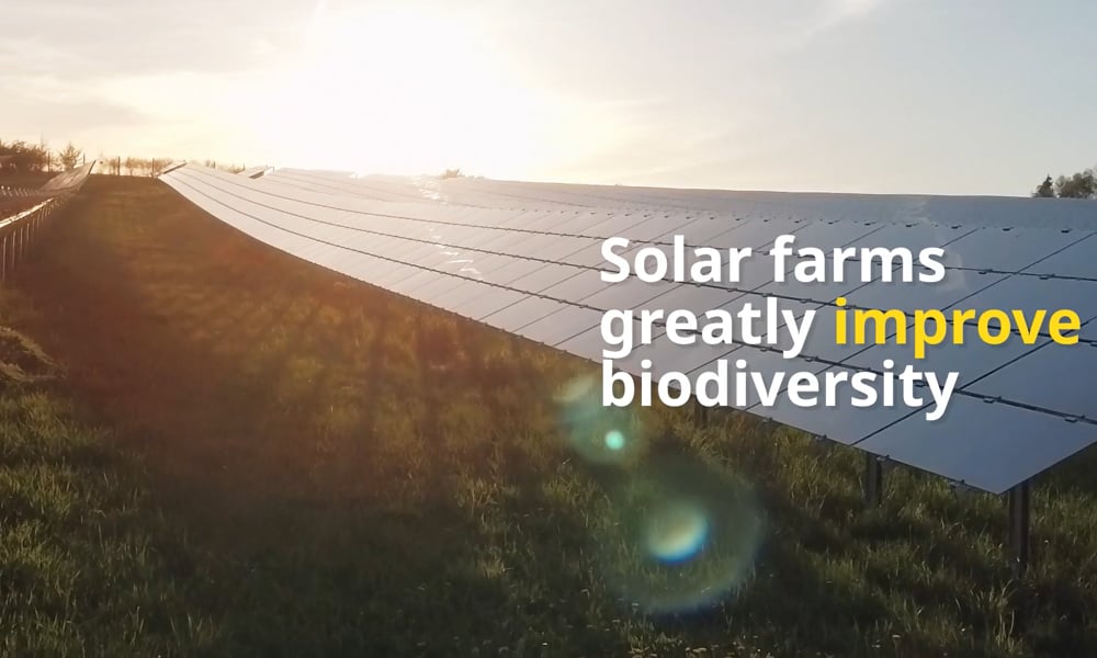Why Solar - What about biodiversity and wildlife? Image