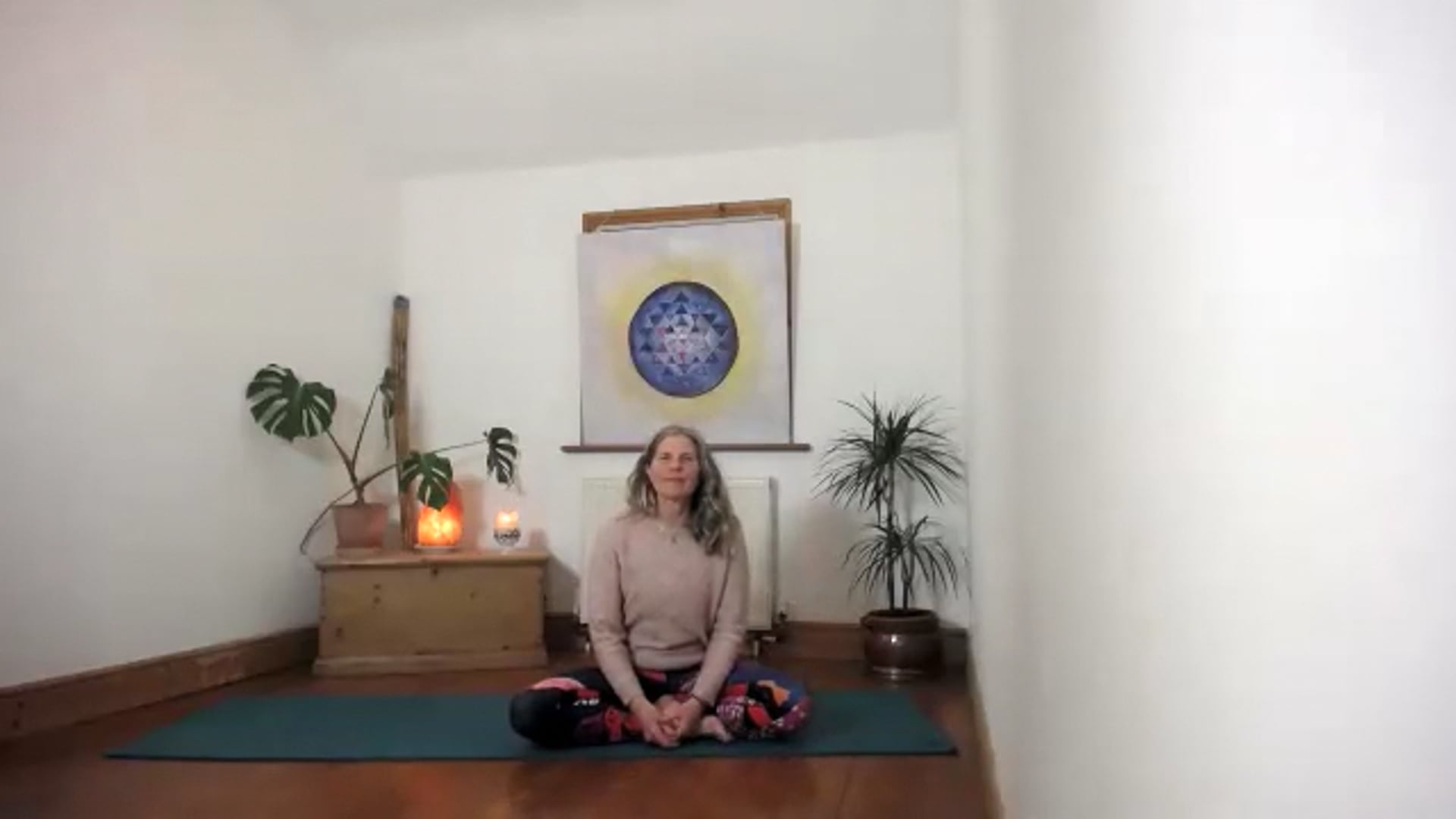 Multilevel wk 1 Head to Toes