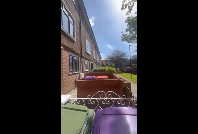 Video 1: