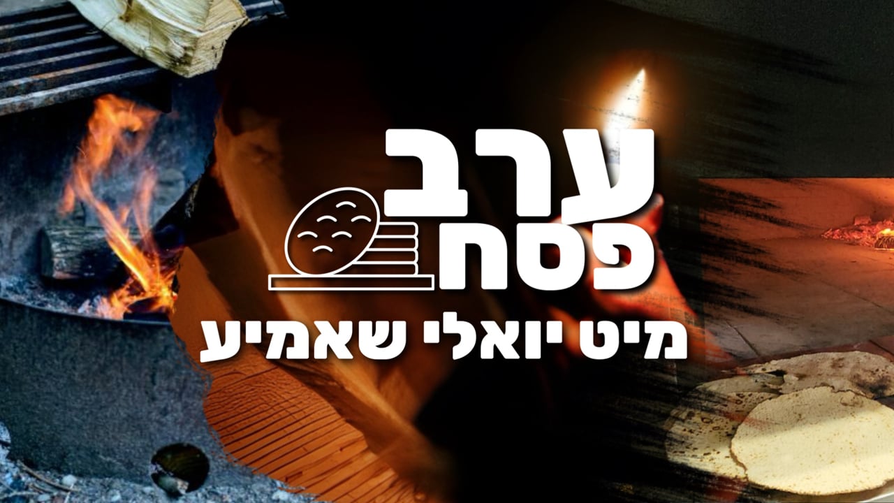 ערב פסח מיט יואלי שמעי