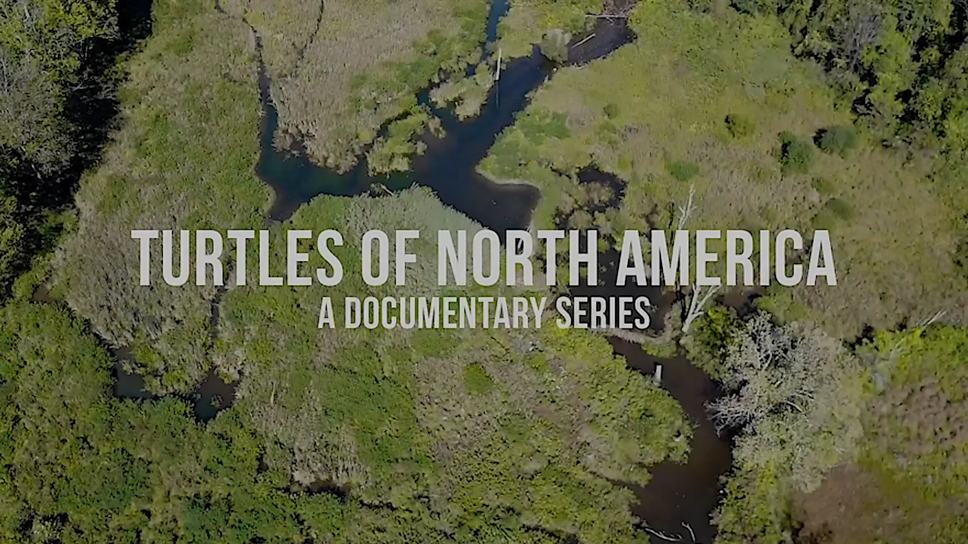 Spotted Turtle Edits - TURTLE TRAILER v2D on Vimeo