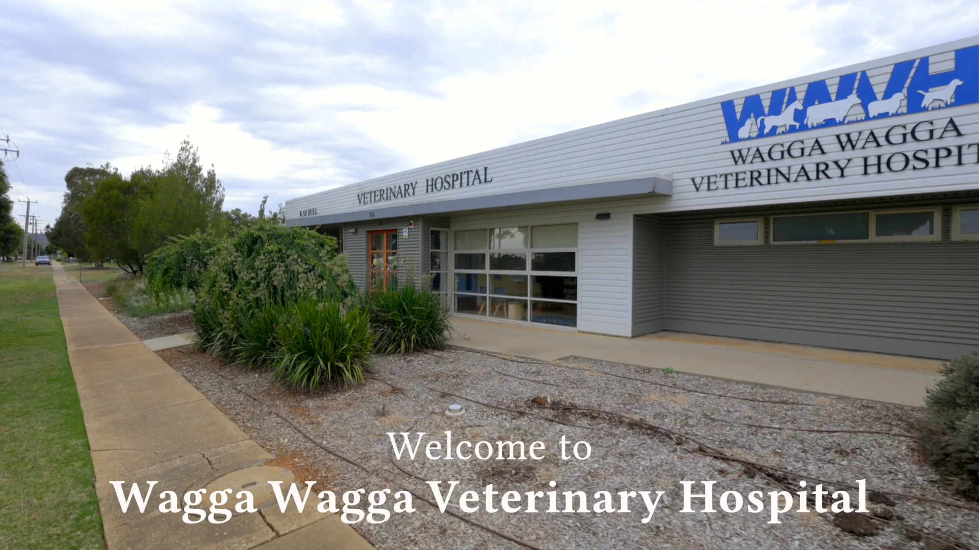 About Wagga Wagga Vet Hospital Family Owned Since 1955