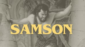 Samson 2