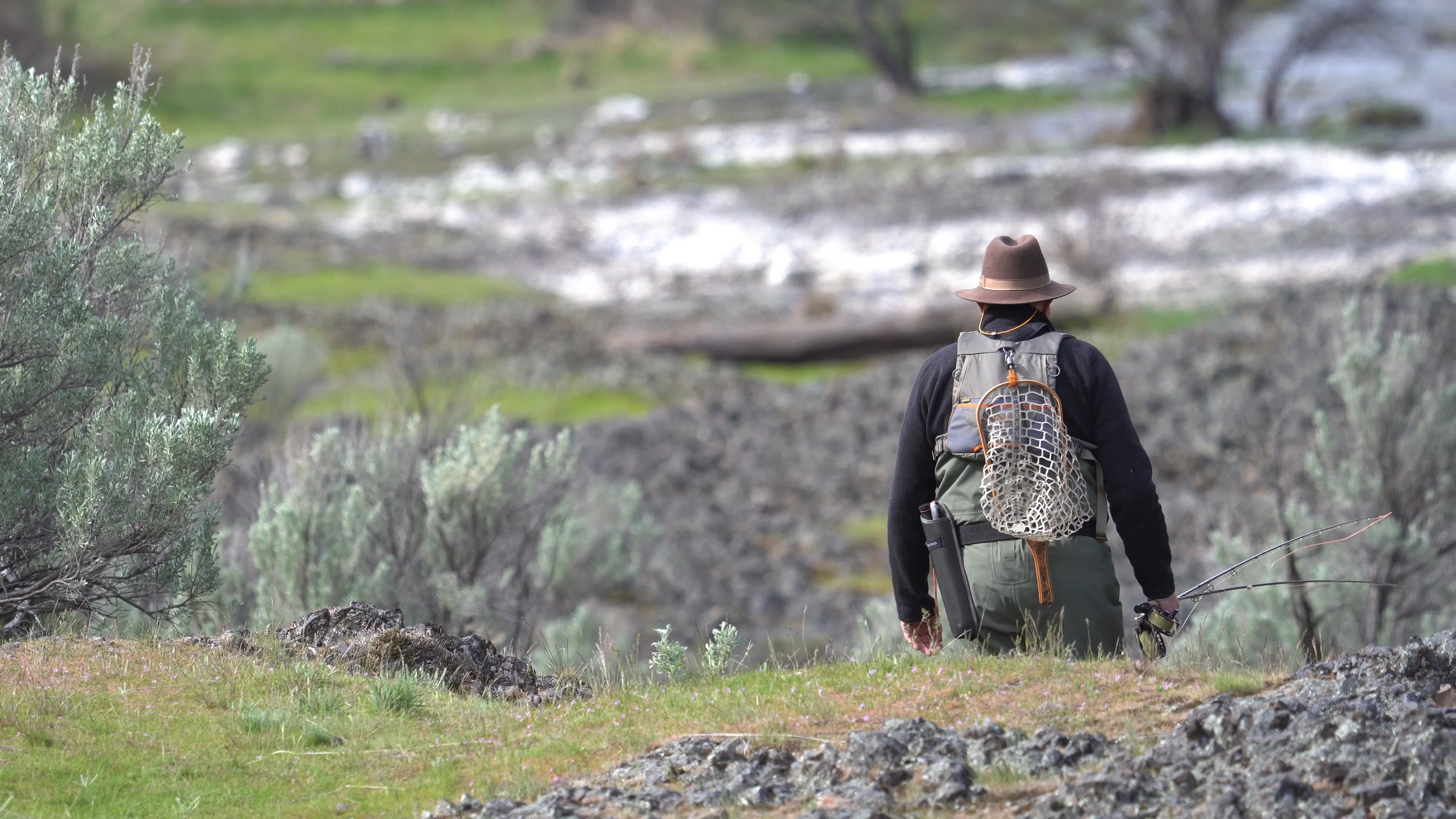 Full on Spring on Vimeo