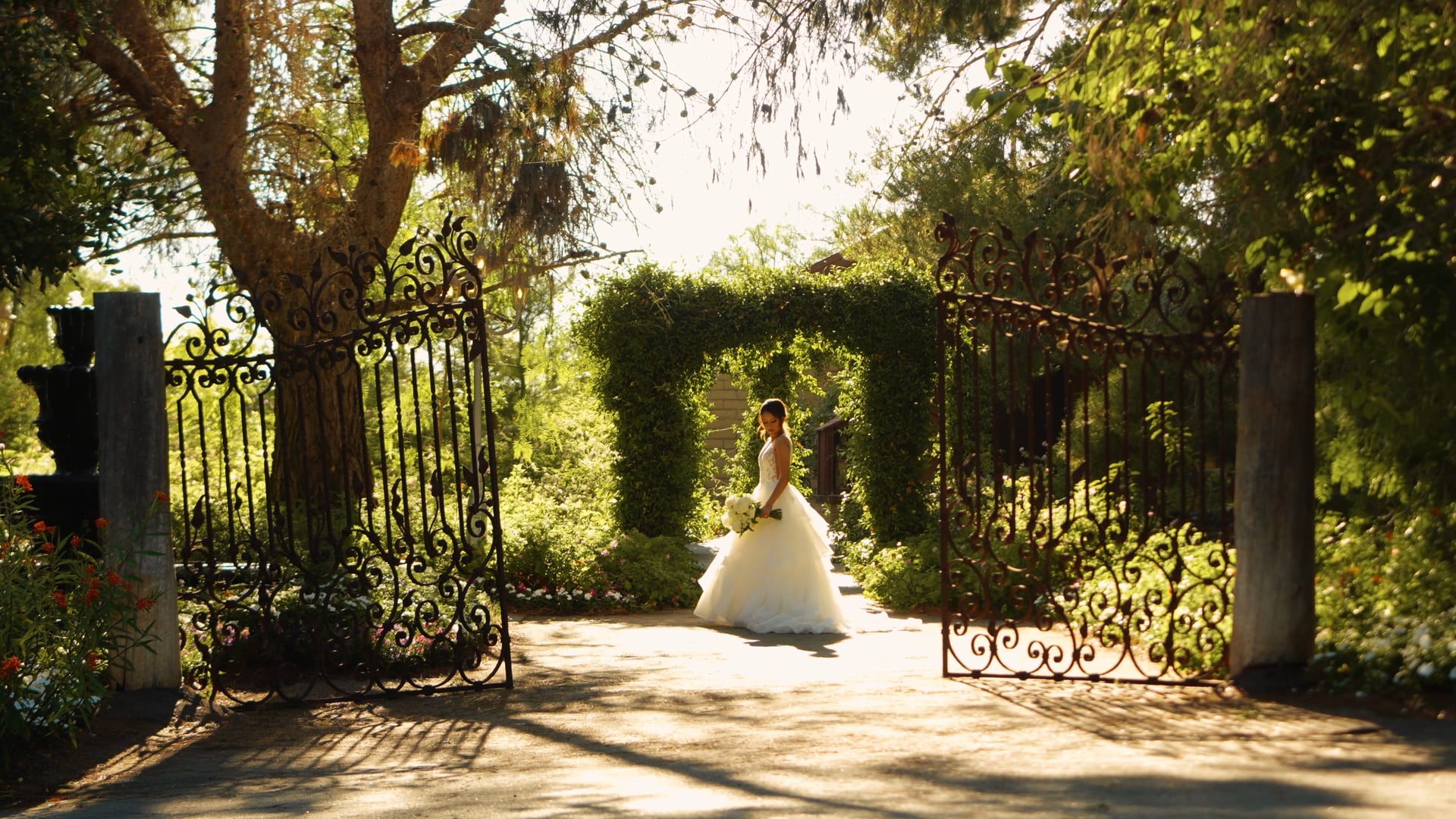 Cynthia + Peter 8.11.2023
