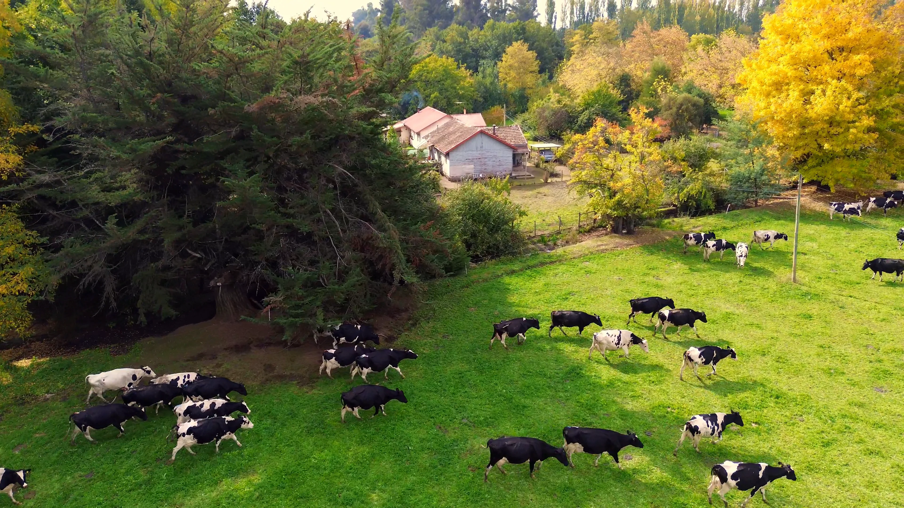 Beautiful Farm on Vimeo