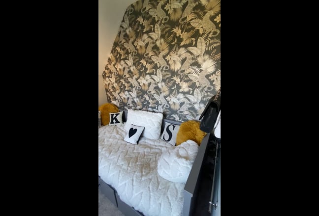 Video 1: