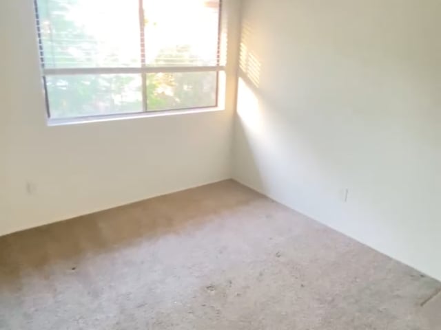 Room for Rent in Carlsbad! Main Photo