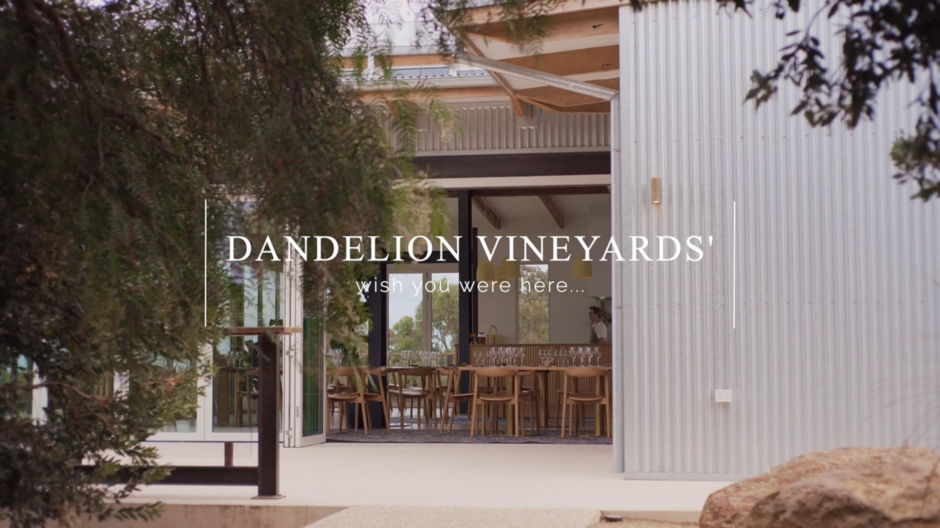 Dandelion Vineyards - Wonder Room 60"
