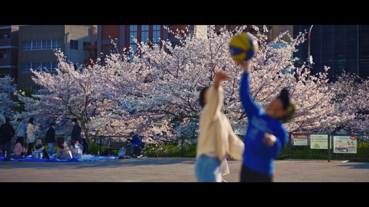 TREE OF SPRING: Time, Beauty and Chaos