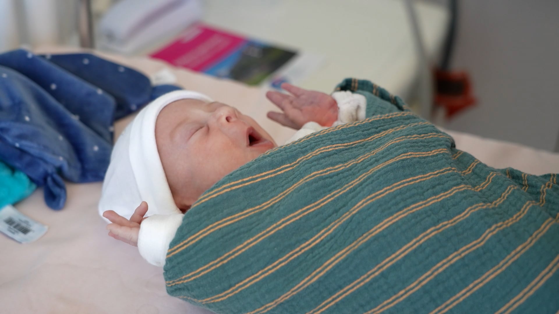 Elles donnent naissance, mais à quel prix !