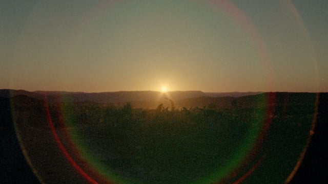A thumbnail for the film 'Carm Wines' by  bernardo infante