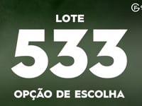 Lote 533