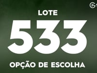 Lote 533