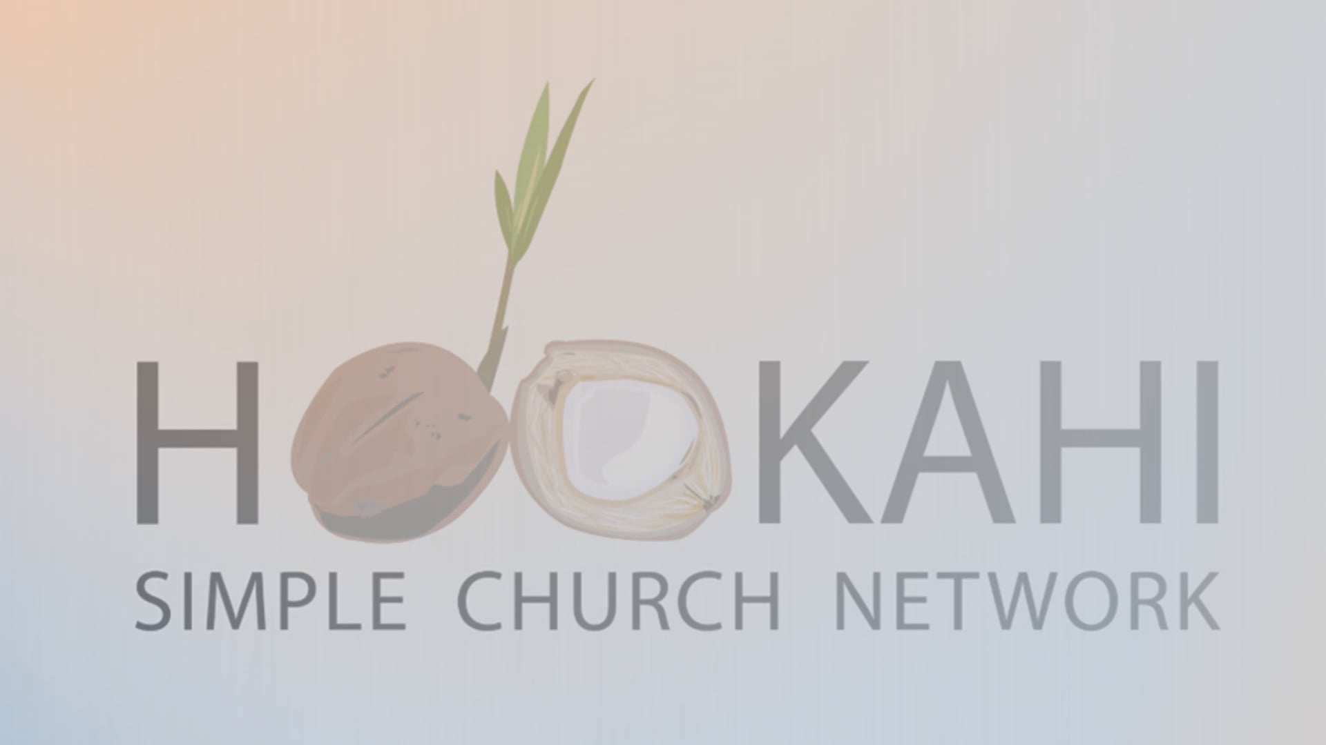 The Minimum Viable Expectations of Ho'okahi Simple Church Network