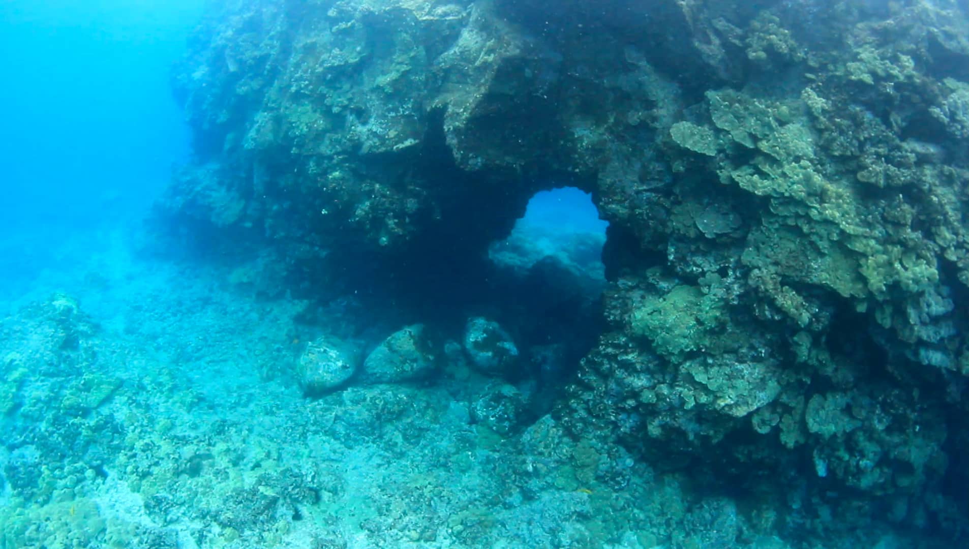 Snorkeling at Old Airport Beach, Big Island, Hawaii. on Vimeo